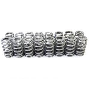Texas Speed - TSP Stage 2 Camshaft w/ Valvetrain Component Kit for 05-10 5.7L/6.1L Hemi - 66+ HP Gain (Non-VVT) - Image 3