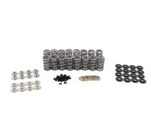 BTR Platinum Plus Gen V Dual Spring Valve Springs Kit w/ Titanium Retainers - .685 Lift (Bronze Valve Guides)